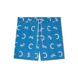 Celine Men Nylon Swim Shorts